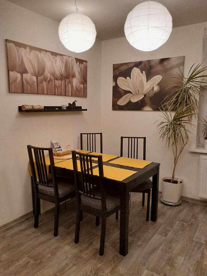 Apartment Riegerovka Cheb Dış mekan fotoğraf