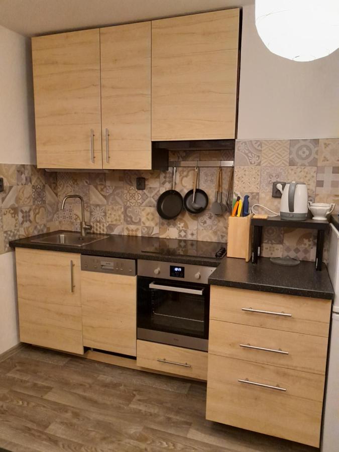 Apartment Riegerovka Cheb Dış mekan fotoğraf