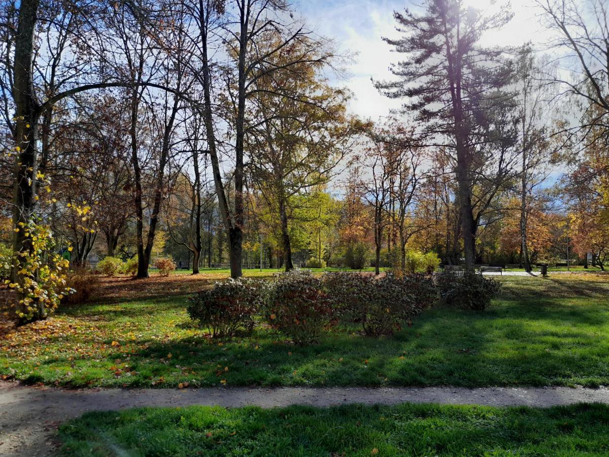 Apartment Riegerovka Cheb Dış mekan fotoğraf