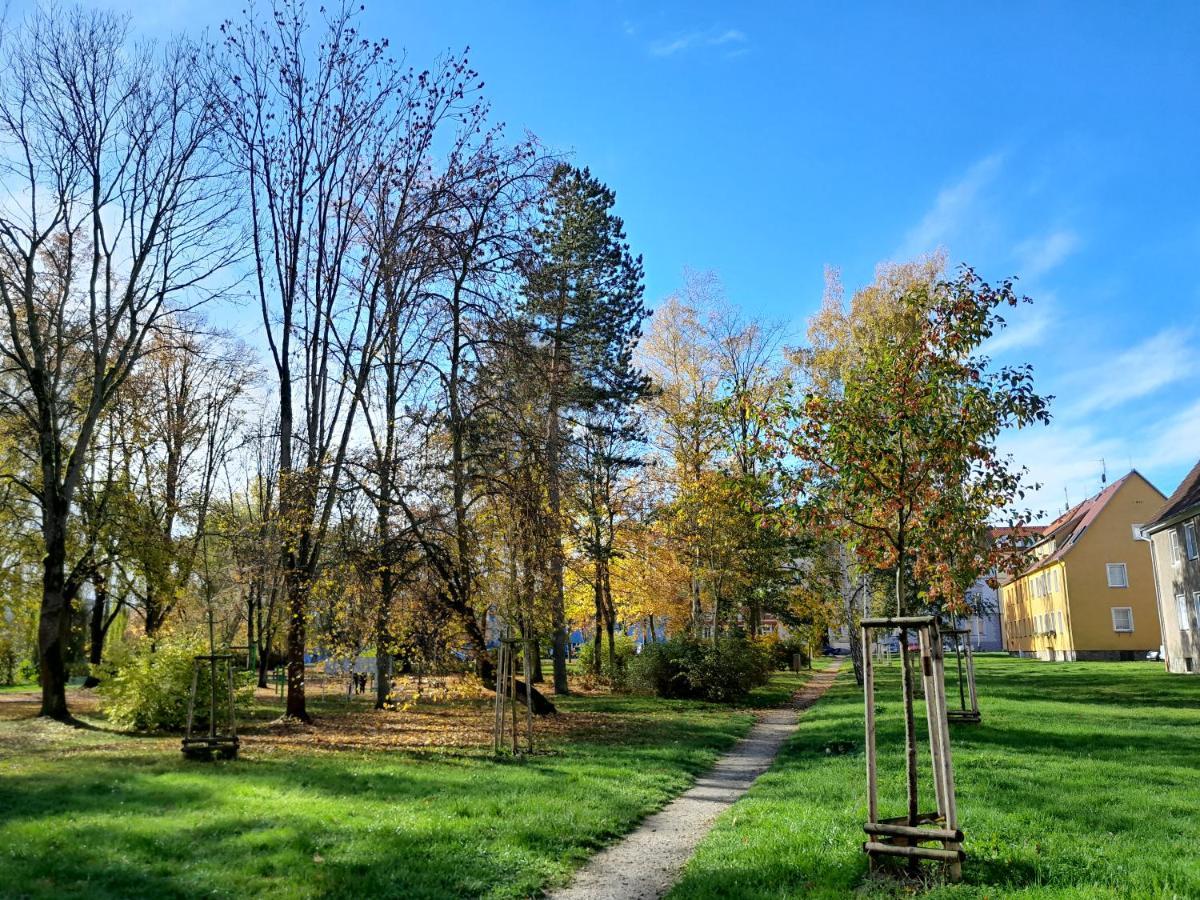 Apartment Riegerovka Cheb Dış mekan fotoğraf