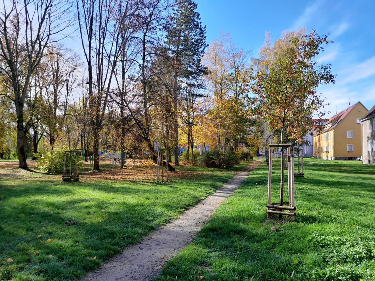 Apartment Riegerovka Cheb Dış mekan fotoğraf