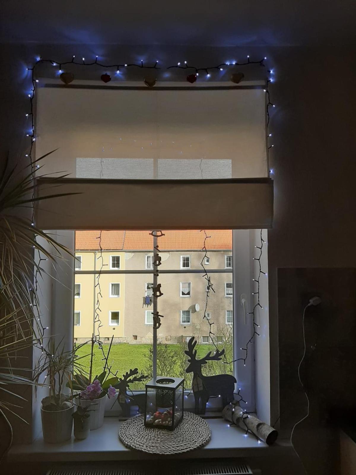 Apartment Riegerovka Cheb Dış mekan fotoğraf