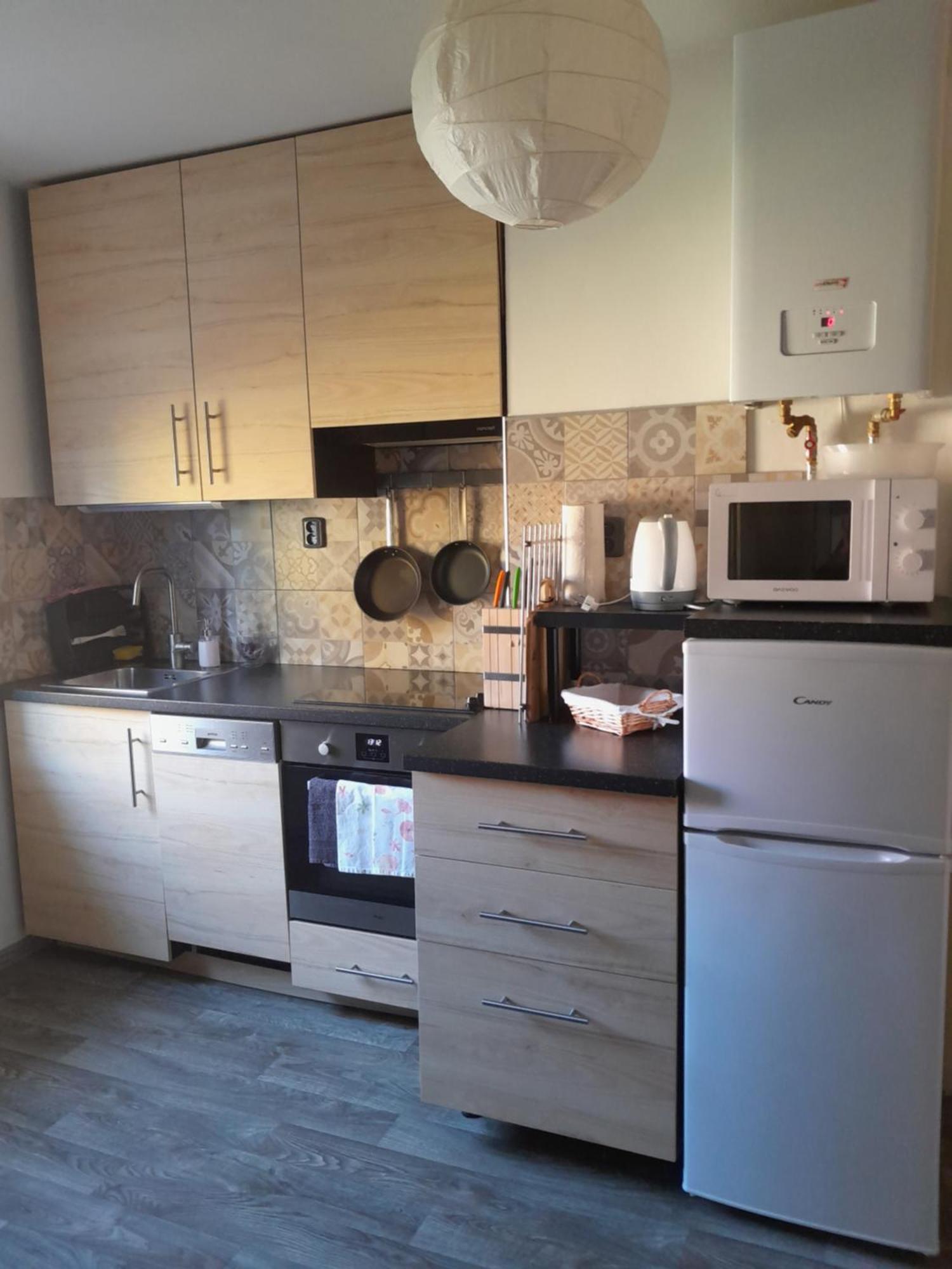 Apartment Riegerovka Cheb Dış mekan fotoğraf