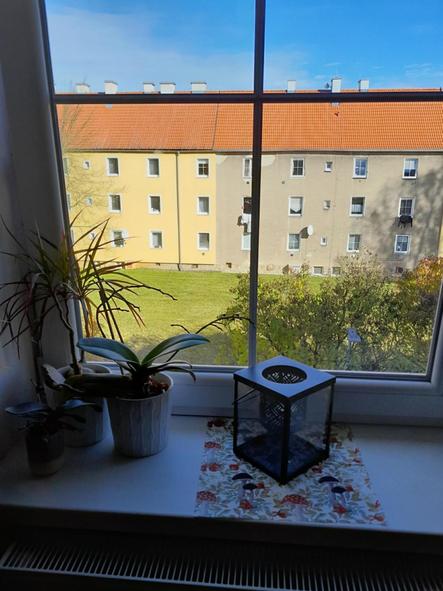 Apartment Riegerovka Cheb Dış mekan fotoğraf